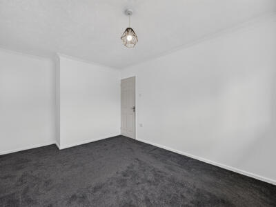 Picture 13